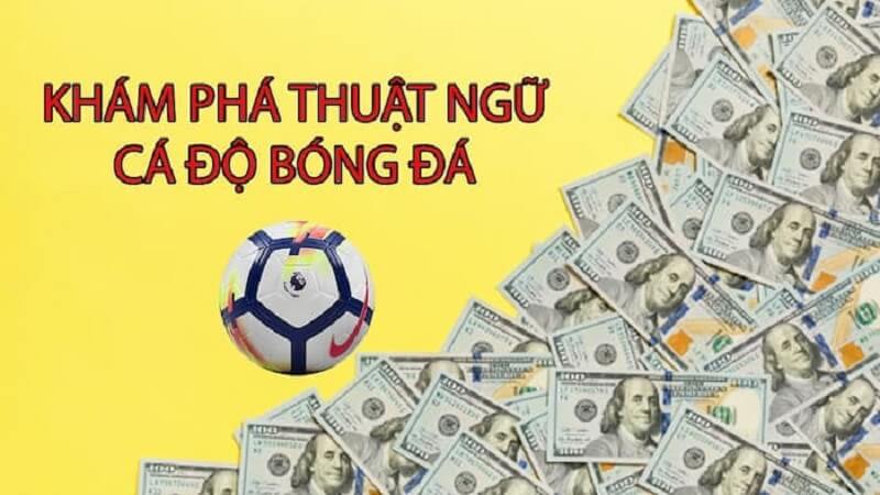 Các thuật ngữ trong cá độ bóng đá tại kèo cược châu Á