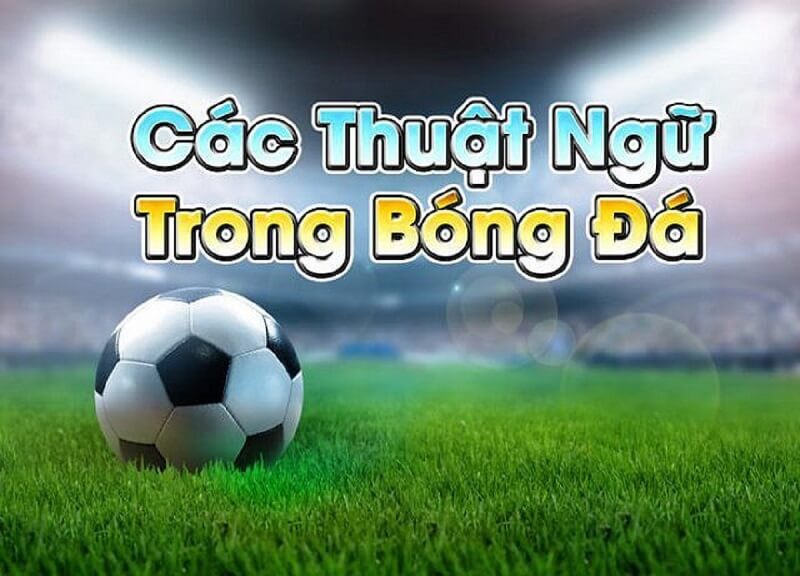 Các thuật ngữ cá độ bóng đá tại kèo cược châu Á